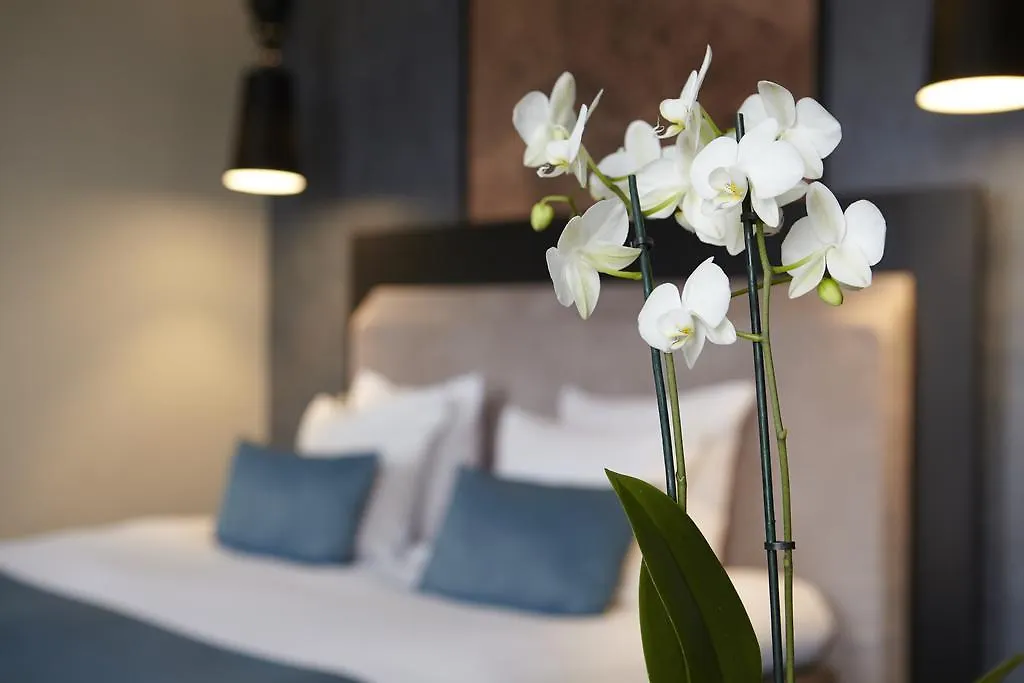 Hotel No. 377 House Amsterdam